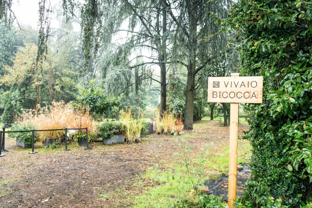 vivaio bicocca il giardinone