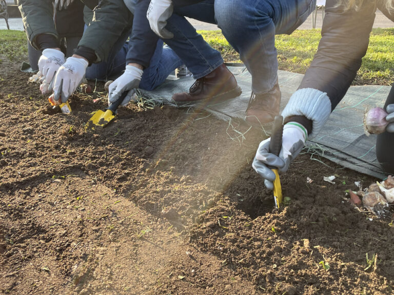 Il Giardinone Cooperativa Sociale