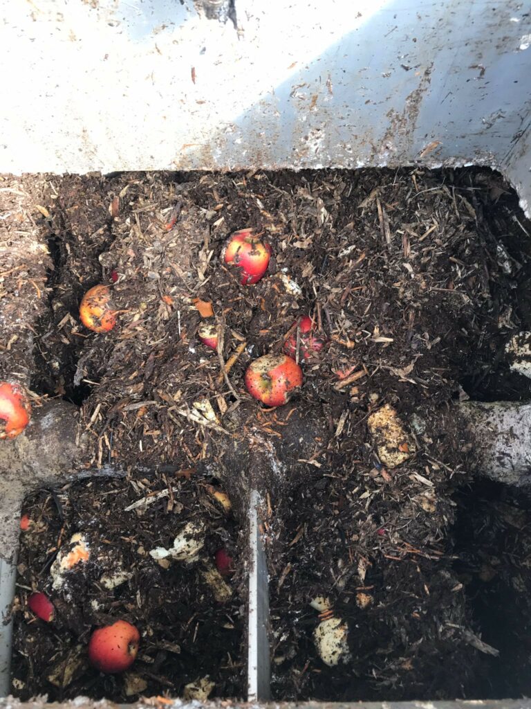 compost dal piatto al terriccio