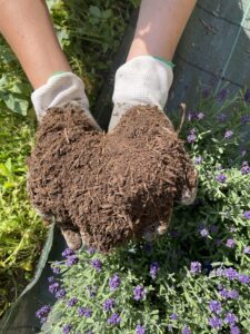 compost dal piatto al terriccio